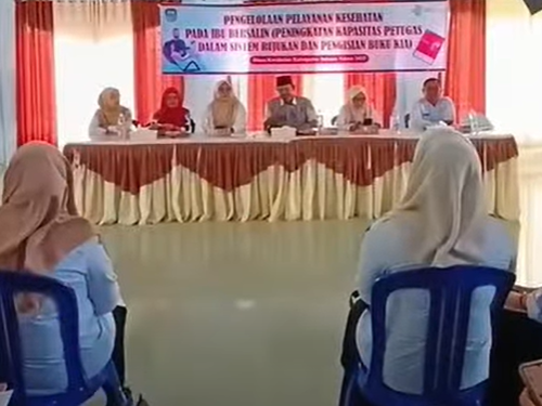 SOSIALISASI PENGOLAAN PELAYANAN KESEHATAN PADA IBU BERSALIN TAHUN 2025
