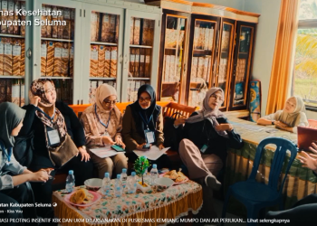 MONEV DAN EVALUASI PILOTING INSENTIF KBK DAN UKM DILAKSANAKAN DI PUSKESMAS KEMBANG MUMPO DAN AIR PERIUKAN