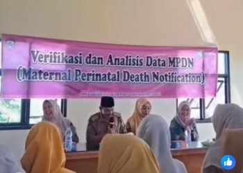 VERIFIKASI DAN ANALISIS DATA MPDN KABUPATEN SELUMA