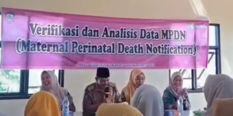 VERIFIKASI DAN ANALISIS DATA MPDN KABUPATEN SELUMA