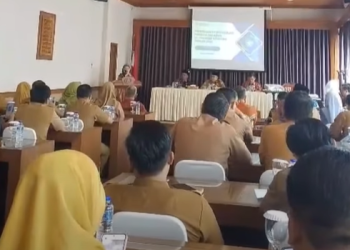 PLT. KEPALA DINAS KESEHATAN SELUMA HADIRI WORKSHOP PENGUSULAN DTSEN 1–5 DI KABUPATEN REJANG LEBONG